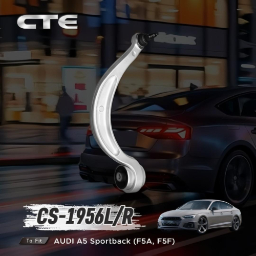 Chassis Tech Selected CS-1956L/R