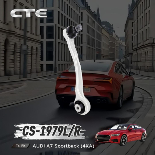 Chassis Tech Selected CS-1979L/R