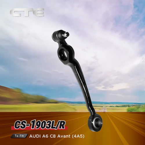 Chassis Tech Selected CS-1903L/R