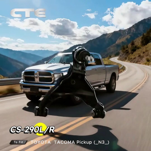 Chassis Tech Selected CS-290L/R