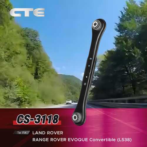 Chassis Tech Selected  CS-3118