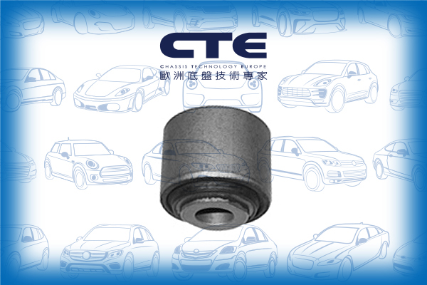 Rubber Bushing/FORD/GALAXY III (CK)