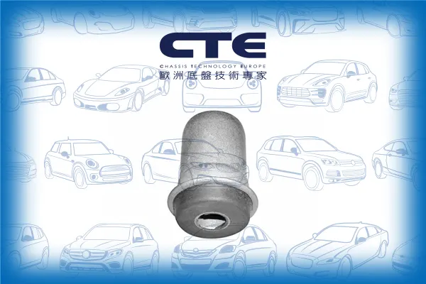 Rubber Bushing/MITSUBISHI/MINICA (H1_)