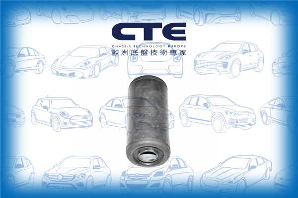 Rubber Bushing/MITSUBISHI/L 300 / DELICA II Platform/Chassis (L03_P) | BIG MINI