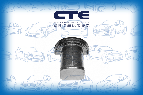 Rubber Bushing/NISSAN/STANZA (T11)