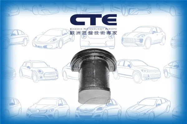 Rubber Bushing/NISSAN/STANZA (T11)