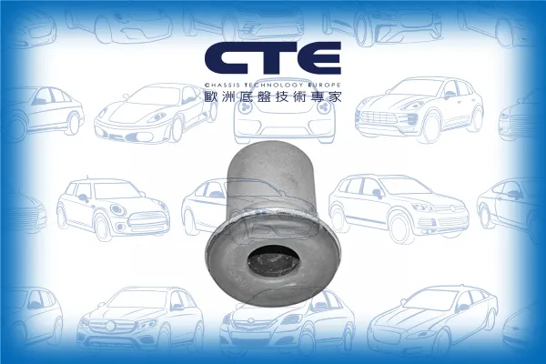 Rubber Bushing/NISSAN/CEDRIC Hardtop (Y31)