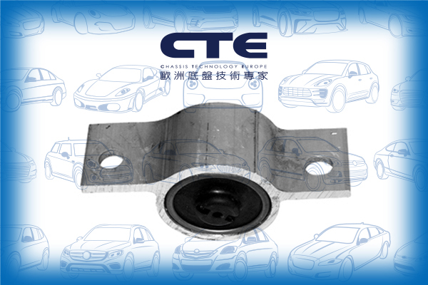 Rubber Bushing/NISSAN/MAXIMA / MAXIMA QX V (A33)
