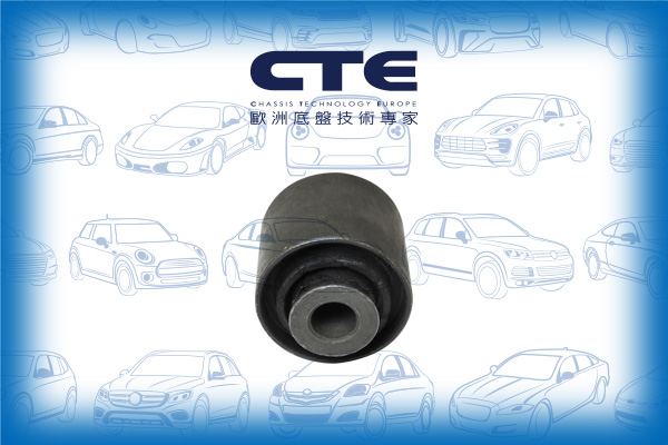 Rubber Bushing/BMW/5 (F10)/6 Coupe (F13)/6 Gran Coupe (F06)/7 (F01, F02, F03, F04)
