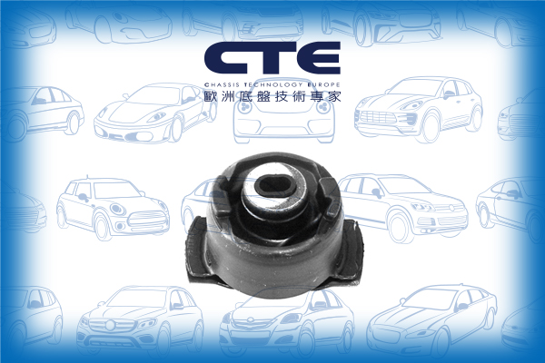 Rubber Bushing/RENAULT/LAGUNA II (BG0/1_)/LAGUNA II Grandtour (KG0/1_)/LAGUNA III (BT0/1)