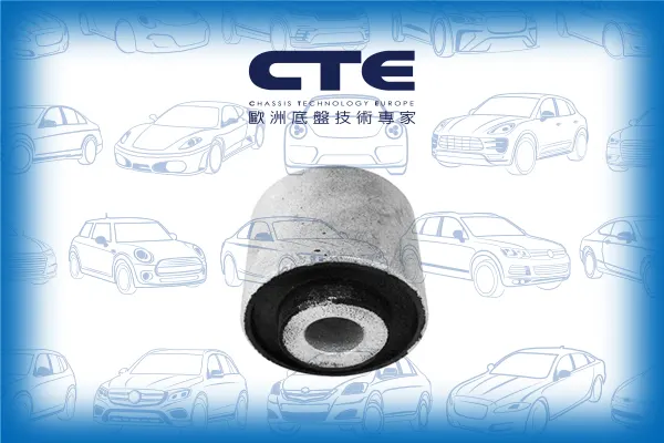 Rubber Bushing/AUDI/A4 B6 (8E2)/A4 B6 Avant (8E5)