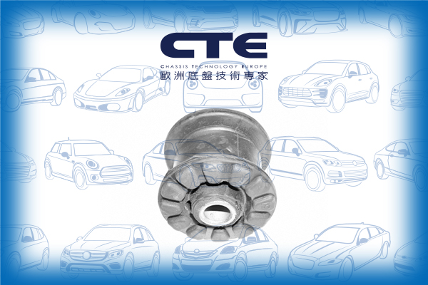 Rubber Bushing/VOLKSWAGEN/PASSAT B2 (32B)