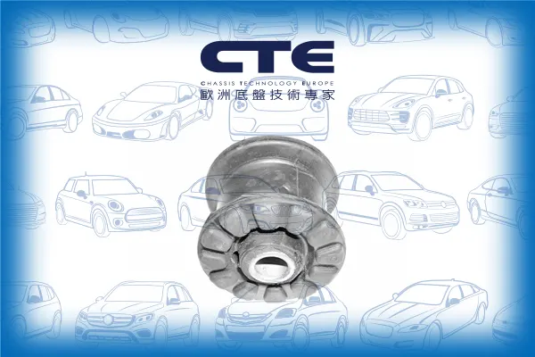 Rubber Bushing/VOLKSWAGEN/PASSAT B2 (32B)