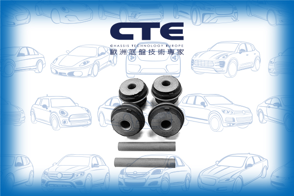 Rubber Bushing/MERCEDES-BENZ/E-CLASS (W124)