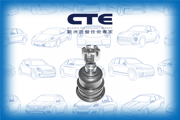Ball Joint/NISSAN/CABSTAR (F22, H40) | ATLAS/CABSTAR (F23, H41, H42) | ATLAS/PATHFINDER I (WD21)