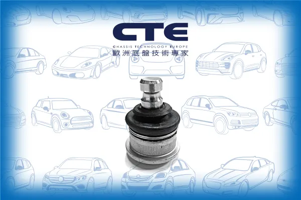 Ball Joint/RENAULT/MEGANE II (BM0/1_, CM0/1_)/MEGANE II Saloon (LM0/1_)