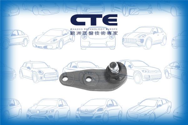 Ball Joint/AUDI/VOLKSWAGEN/80 B3 Saloon (893, 894, 8A2)/90 B3 (893, 894, 8A2)/PASSAT B2 (32B)/SANTANA (32B)