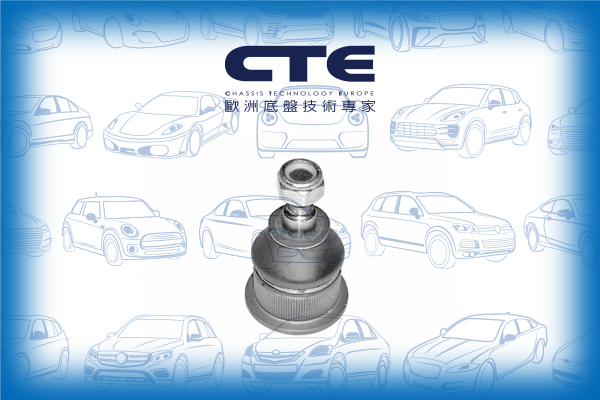 Ball Joint/VOLKSWAGEN/KAEFER | CAROCHA | COCCINELLE | ESCARABAJO | BEETLE | KEVER