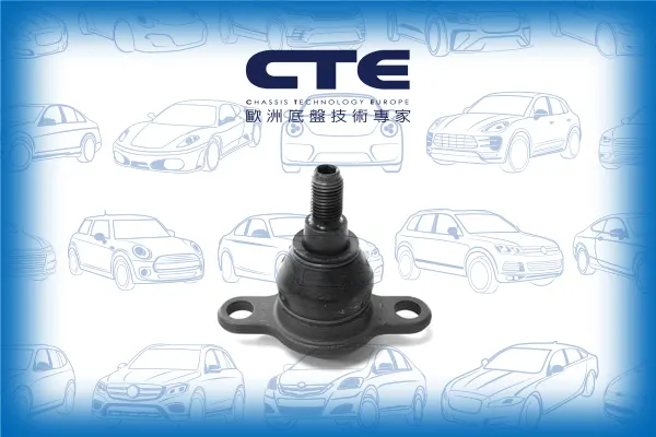 Ball Joint/VOLKSWAGEN/TRANSPORTER V Bus (7HB, 7HJ, 7EB, 7EJ, 7EF, 7EG, 7HF, 7EC) | TRANSPORTER / CARAVELLE | CARAVELLE/TRANSPORTER V Van (7HA, 7HH, 7EA, 7EH)