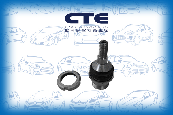 Ball Joint/MERCEDES-BENZ/M-CLASS (W164)/R-CLASS (W251, V251)