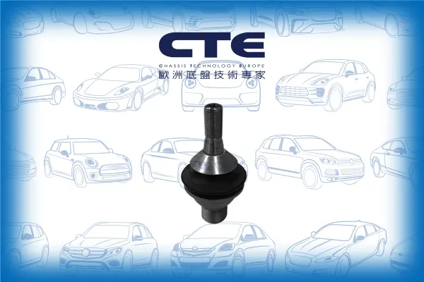 Ball Joint/MERCEDES-BENZ/M-CLASS (W166)