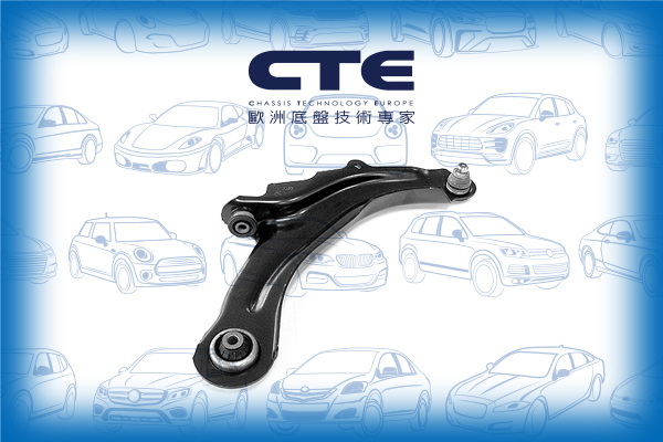 Control Arm/RENAULT/MEGANE II (BM0/1_, CM0/1_)/MEGANE II Saloon (LM0/1_)/SCÉNIC II (JM0/1_)