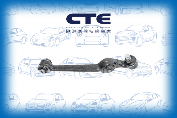 Control Arm/FORD/ESCORT IV (GAF, AWF, ABFT)
