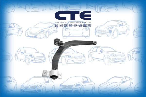 Control Arm/PEUGEOT/406 (8B)