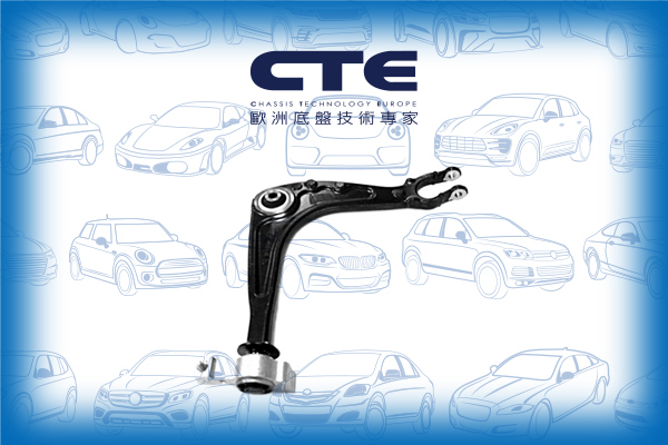Control Arm/PEUGEOT/407 (6D_)/407 Coupe (6C_)/407 SW (6E_)