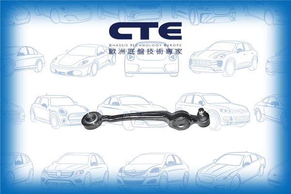 Control Arm/AUDI/100 C4 Saloon (4A2)/A6 C4 (4A2)