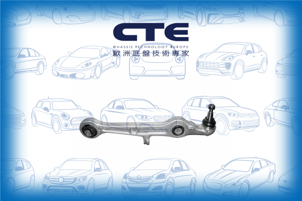Control Arm/AUDI/A4 B6 (8E2)/A4 B6 Avant (8E5)