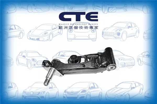 Control Arm/FIAT/PUNTO (176_)