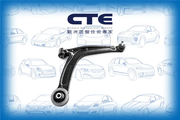 Control Arm/FIAT/500 (111_, 101_, 110_)