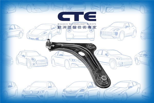 Control Arm/CITROËN/PEUGEOT/1007 (KM_)/C3 I (FC_, FN_)/C3 II (SC_)/C3 PICASSO (SH_)/C3 Pluriel (HB_)