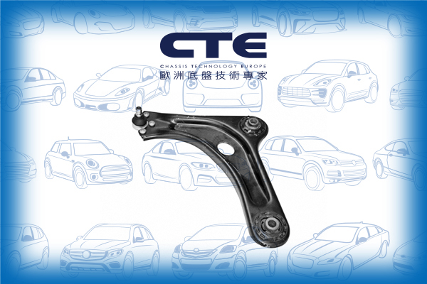 Control Arm/CITROËN/C2 (JM_)