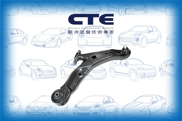 Control Arm/HYUNDAI/SANTA FÉ I (SM)