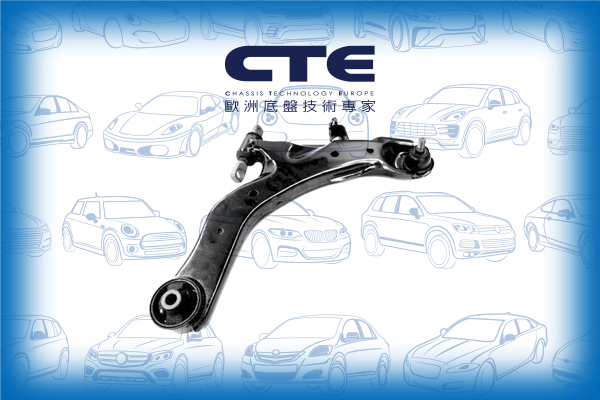 Control Arm/HYUNDAI/COUPE (GK) | TUSCANI