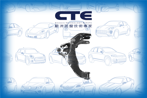 Control Arm/MITSUBISHI/GALLOPER (JK-01)