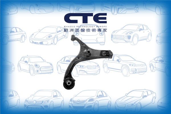 Control Arm/HYUNDAI/KIA/ACCENT III (MC) | VERNA/RIO II (JB) | PRIDE