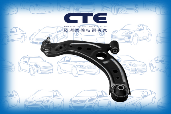 Control Arm/TOYOTA/PASSO (M7_A)