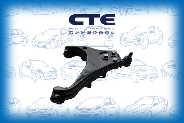 Control Arm/KIA/SORENTO I (JC)