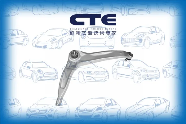 Control Arm/ROVER/75 (RJ)