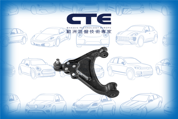 Control Arm/ROVER/100 / METRO Hatchback (XP)