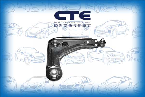 Control Arm/FORD/FIESTA III (GFJ)