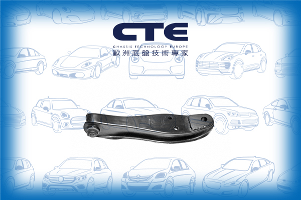 Control Arm/MITSUBISHI/MINICA (H1_)