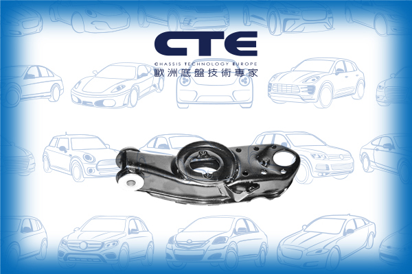 Control Arm/MITSUBISHI/L 300 III Bus (P0_W, P1_W, P2_W, P3_W) | DELICA/L 300 III Van (P0_V, P1_V, P_2V) | DELICA/L400 Bus (PD_W, PC_W, PA_V, PB_V, PA_W)/L400 Van (PD_W, PC_W, PB_V, PA_W, PA_V)