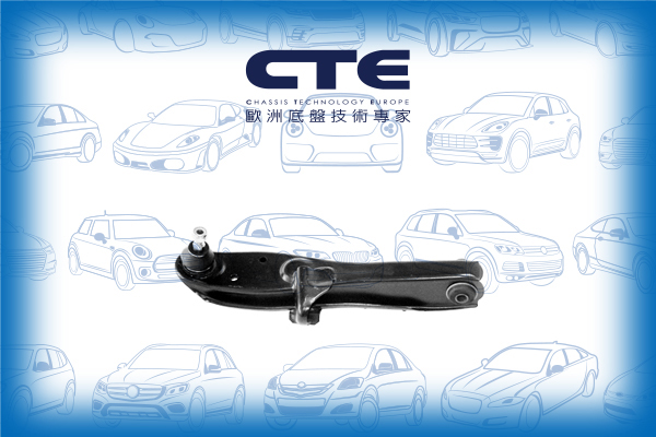 Control Arm/MITSUBISHI/PAJERO PININ I (H6_W, H7_W) | IO | SHOGUN PININ | MONTERO IO