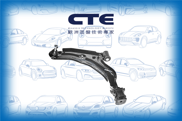 Control Arm/NISSAN/SUNNY II (N13, B12)/SUNNY II Hatchback (N13)