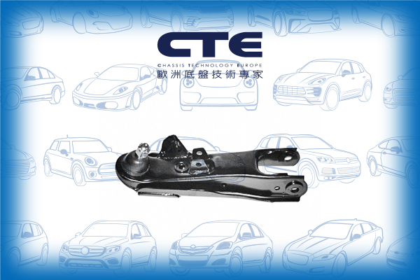 Control Arm/NISSAN/CABSTAR (F22, H40) | ATLAS/CABSTAR (F23, H41, H42) | ATLAS/PATHFINDER I (WD21)