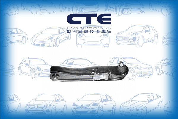 Control Arm/NISSAN/ALTIMA (L30)/ALTIMA (L31)/ALTIMA (L32)
